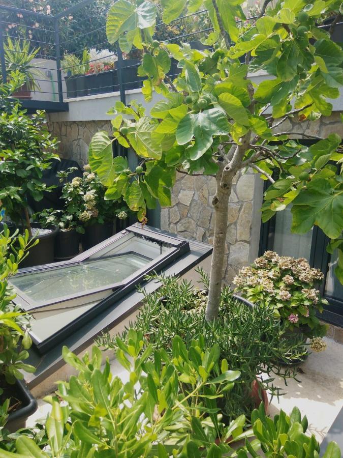 Artspace Location-Opatija-3 Bedroom House With Rooftop Garden By Beach Екстер'єр фото