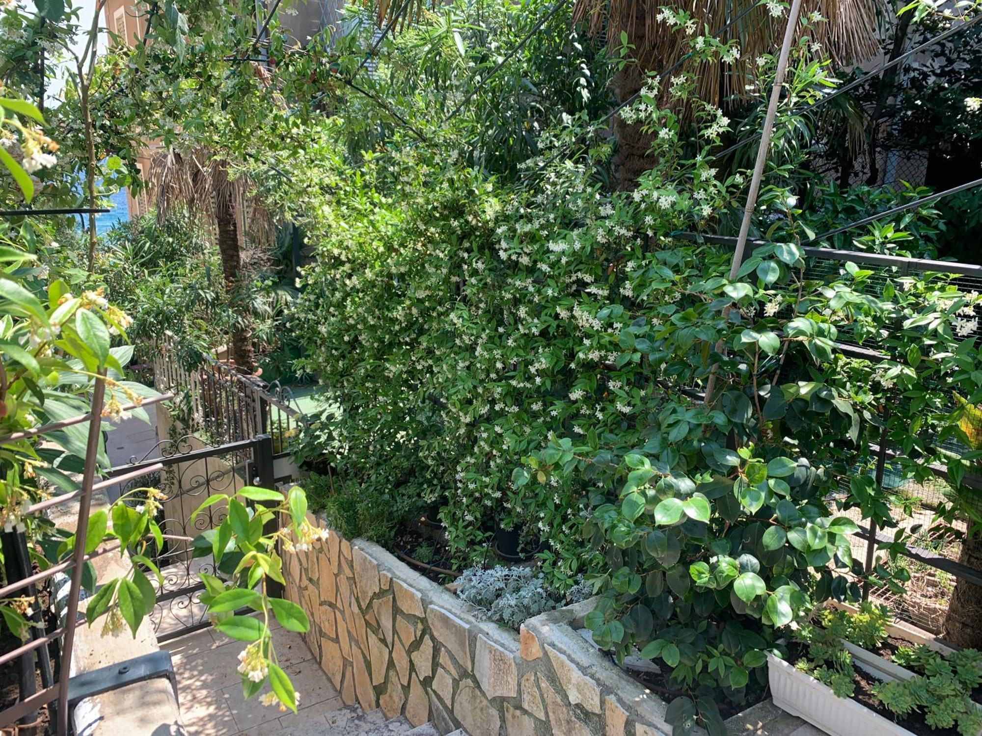 Artspace Location-Opatija-3 Bedroom House With Rooftop Garden By Beach Екстер'єр фото